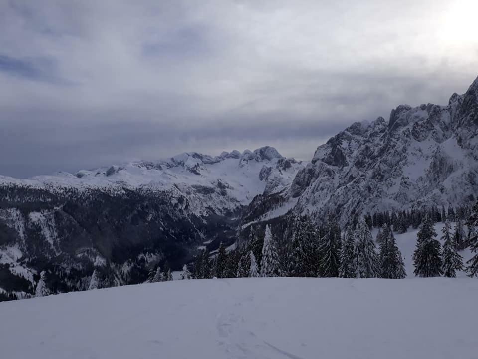 Dachstein View Ski Apartment Gosau Esterno foto