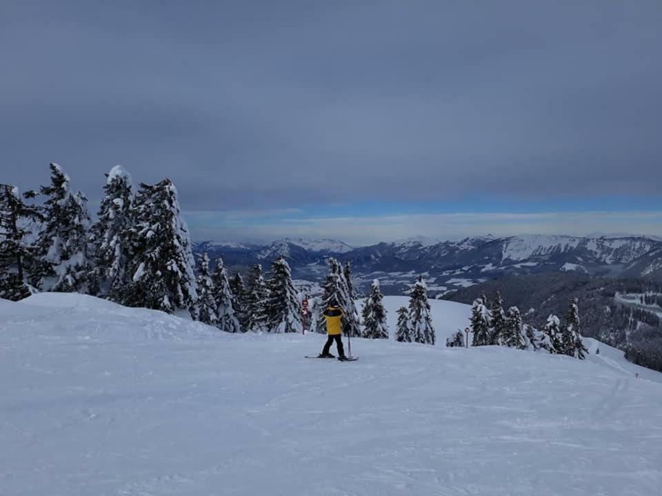 Dachstein View Ski Apartment Gosau Esterno foto