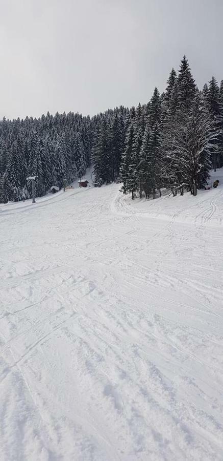 Dachstein View Ski Apartment Gosau Esterno foto